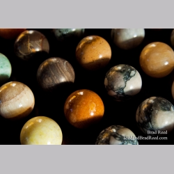 Brad Reed\'s Day 275 of 365 