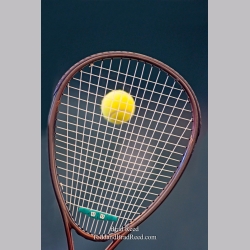 Brad Reed\'s Day 276 of 365 