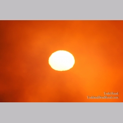 Todd Reed\'s Day 278 of 365 
