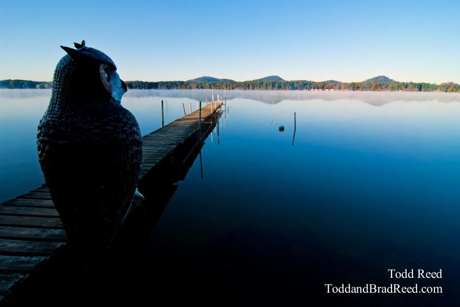 Todd Reed's Day 279 of 365 