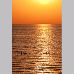 Todd Reed\'s Day 282 of 365 