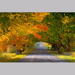 Todd Reed\'s Day 283 of 365 