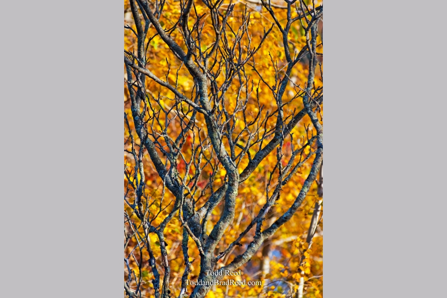 Todd Reed's Day 286 of 365 