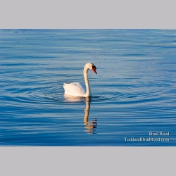 Brad Reed\'s Day 287 of 365 