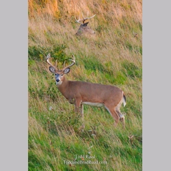 Todd Reed\'s Day 291 of 365 
