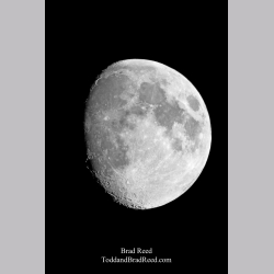 Brad Reed\'s Day 291 of 365 