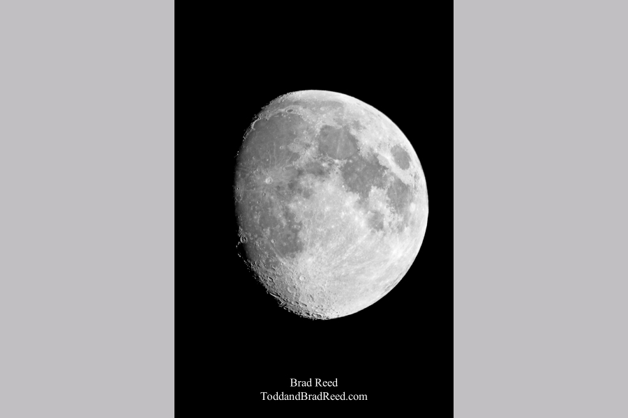 Brad Reed's Day 291 of 365 