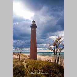 Todd Reed\'s Day 294 of 365 