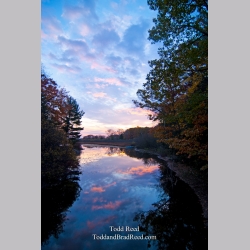 Todd Reed\'s Day 296 of 365 