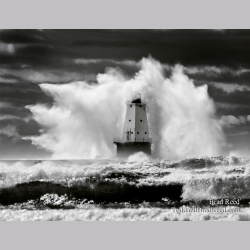 Brad Reed\'s Day 299 of 365 