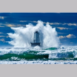 Brad Reed\'s Day 299 of 365 