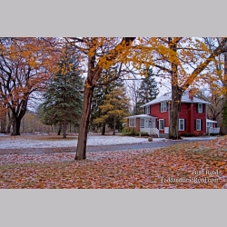 Brad Reed\'s Day 309 of 365 