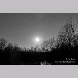 Todd Reed\'s Day 313 of 365 