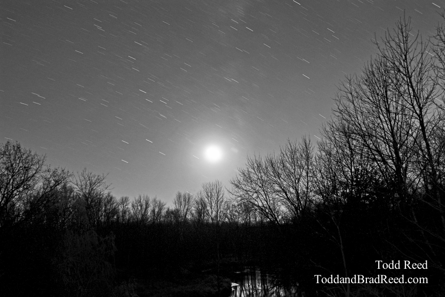 Todd Reed's Day 313 of 365 
