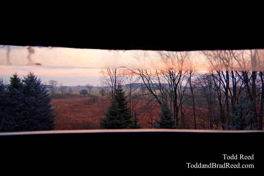 Todd Reed's Day 320 of 365 