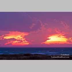 Todd Reed\'s Day 326 of 365 