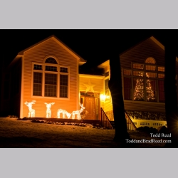 Todd Reed\'s Day 336 of 365 