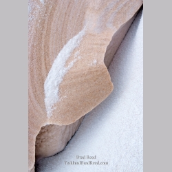 Brad Reed\'s Day 336 of 365 