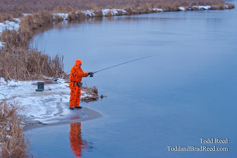 Todd Reed's Day 338 of 365 