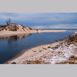 Brad Reed\'s Day 338 of 365 
