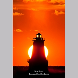 Brad Reed\'s Day 341 of 365 