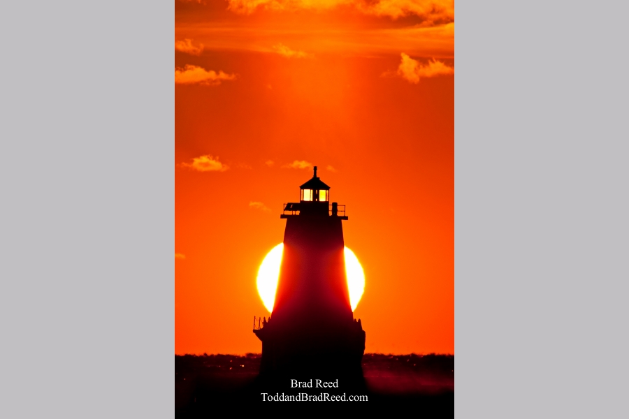 Brad Reed's Day 341 of 365 