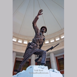 Todd Reed\'s Day 343 of 365 