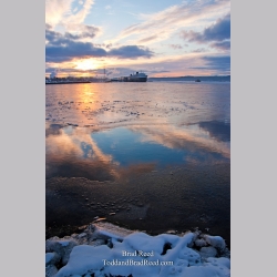 Brad Reed\'s Day 350 of 365 