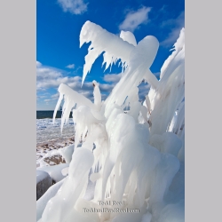 Todd Reed\'s Day 351 of 365 