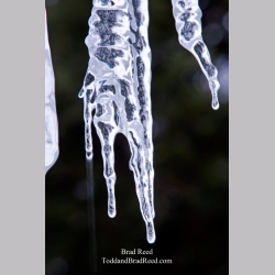 Brad Reed\'s Day 358 of 365 