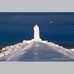 Todd Reed\'s Day 360 of 365 