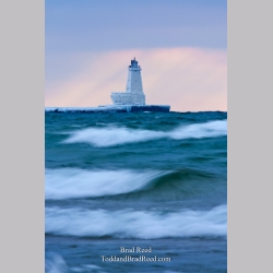 Brad Reed\'s Day 361 of 365 