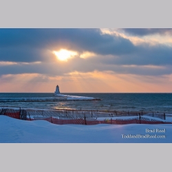 Brad Reed\'s Day 362 of 365 