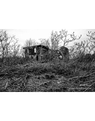 Lost in Time