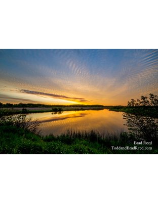 The Golden Sunrise