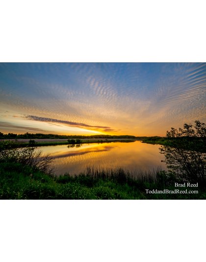 The Golden Sunrise