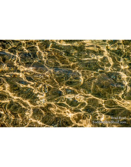 Lake Art