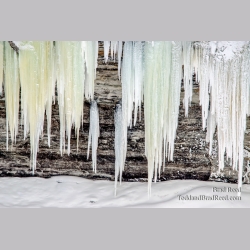 Tahquamenon Ice