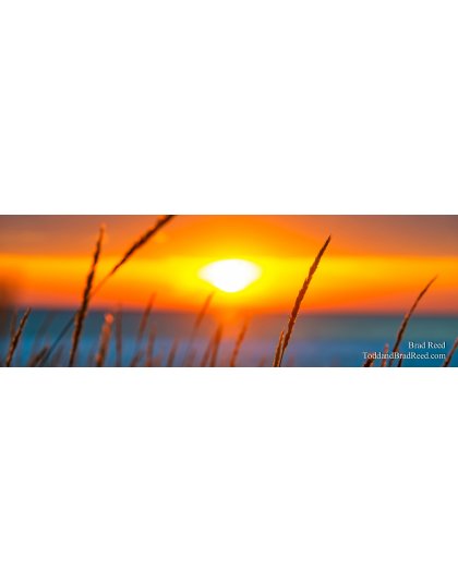 Michigan Warms My Soul - Panoramic