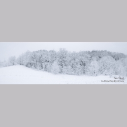 Drawn In - Panoramic