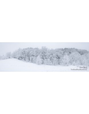 Drawn In - Panoramic