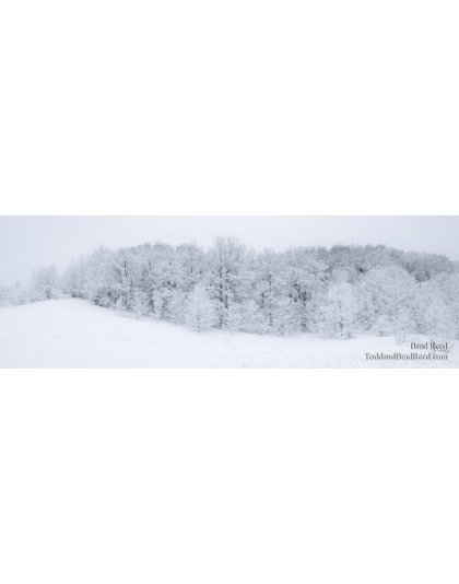 Drawn In - Panoramic