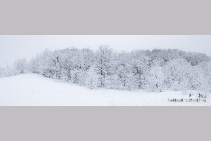 Drawn In - Panoramic