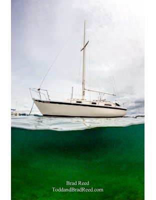 Pura Vida