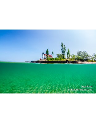 Michigan Tropics