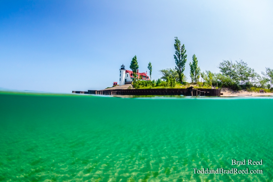 Michigan Tropics