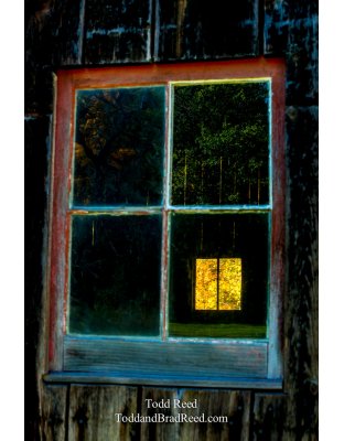 Window on Autumn