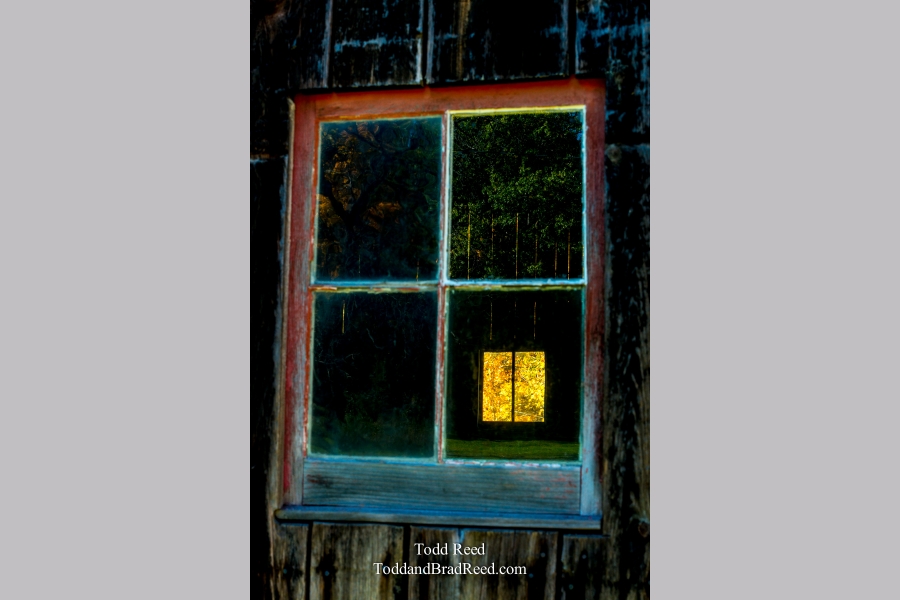 Window on Autumn