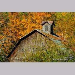 Autumn Star