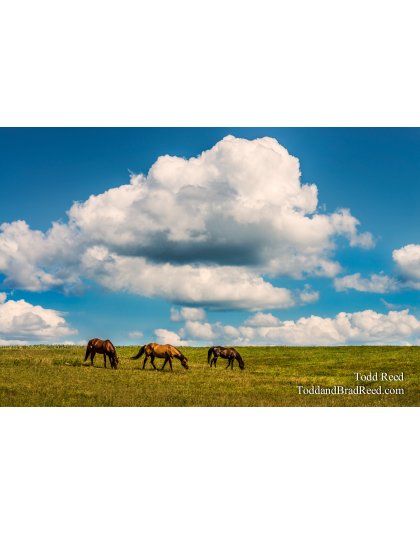 Home on the Range
